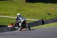 Vintage-motorcycle-club;eventdigitalimages;mallory-park;mallory-park-trackday-photographs;no-limits-trackdays;peter-wileman-photography;trackday-digital-images;trackday-photos;vmcc-festival-1000-bikes-photographs